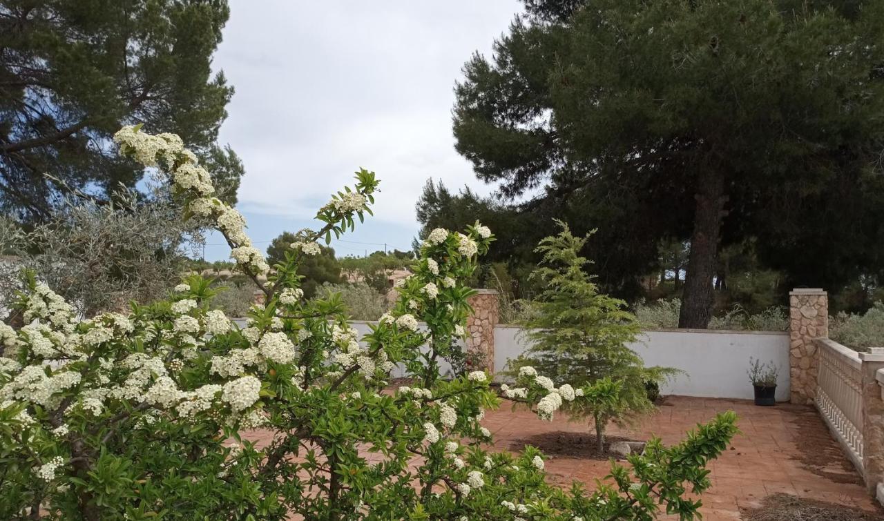 Casa De Pascual Villa Yecla Eksteriør billede